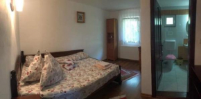 Casa de vacanță Romaria